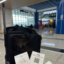 기원은갈치본점 | 제주도 애견동반여행(자매국수, 봄날 카페, 기원은갈치, 크리스마스마켓, 고기장 본점, 펜션 바티)