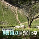 해맑은2농장 이미지