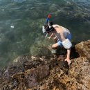 강동누리길(판지) 공중화장실 | 여름 물놀이 명소 울산 판지항 스노쿨링 후기