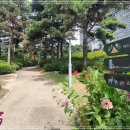 첨단산업클러스터단지4호공원 이미지