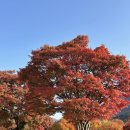 내장산국립공원화장실(생태공원) 이미지