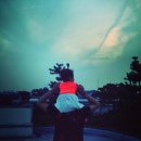 박솔미 카카오 검색결과