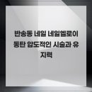 엘로이네일