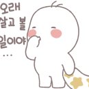 솥밥삼겹살 이미지