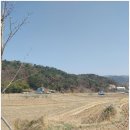 한가로이 경주 이미지