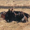 김해 화포천습지 생태학습관 이미지