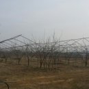 장금농장 이미지