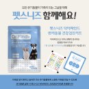 닥터파인드 이미지
