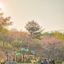 (주)다인필 네이버블로그