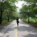 문경짚라인 이미지