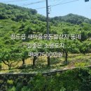 새동네농장 이미지