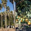 하효마을회관 이미지