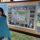 새하늘음악학원 이미지