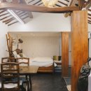 보성애견 이미지