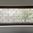 시골바이브 이미지