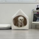 해피애견 | 밀양 애견동반 펜션 해피도그데이 내돈내산 후기 | 밀양 독채숙소 추천