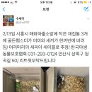 매화파출소 이미지