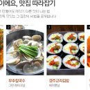 깍두기등,맛집음식따라잡기 이미지