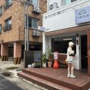 제주 시내 혼밥 안심카츠 꿀맛 카메카츠