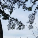 강원도립대학 버스정류장 이미지