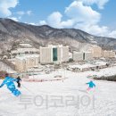 비발디파크