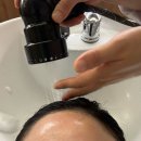 탑스칼프 강릉점 | [평내호평 두피관리] 시작부터 끝까지 세심한 관리 탑스칼프평내호평점