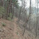 단양경찰서 영춘파출소 | 태화산 산행. 2014.4.12(토)