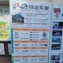 가볼만한곳 전북투어패스 실내 반디랜드 곤충박물관 태권도원 모노레일 알찬 후기 무주향로산자연휴양림