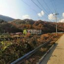 장수황토펜션 이미지