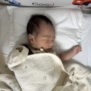 유성구보건소 | 대전 유성구 보건소 신생아 bcg 접종 예약방법 | 후기