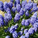 우암농장 이미지