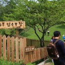 하늘마루염소목장 이미지