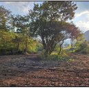 하천농장 이미지