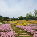 님이 오시는 길 이미지