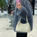 업&도그 | 보테가베네타 파라슈트 미듐 + 도그참 | 스몰 미듐 사이즈 비교, 이너백