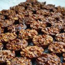 호두와파이 이미지