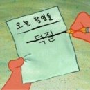수니와도라