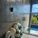 스테이안영 이미지