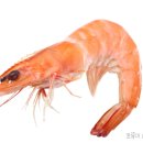 광명기대찬병원 | [광명]복숭아뼈 골절 수술후기/입원후기/수술비용/외래/광명기대찬병원