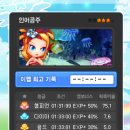 인어루트