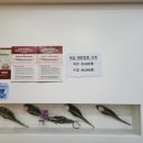 연세키즈소아과의원 이미지