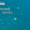 큰집민박 네이버블로그