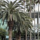 신도리-8 | 겨울 제주도 차박 가능할까? 금능에서 해본 리얼 후기