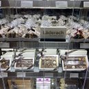 델리카한스 이미지