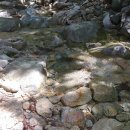 무네미로 이미지