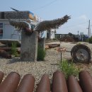 영문1리 이미지