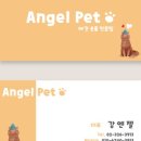 엔젤펫애견샵 이미지
