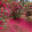 스테이두모 이미지