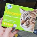 반월당신세계약국 이미지