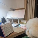 지혜롭개 이미지